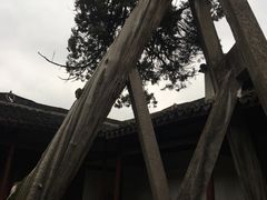 -太平天国侍王府