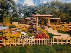 -上海共青森林公园