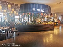 -齐河孔雀王温泉酒店·金孔雀自助百汇