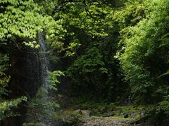 -西岭雪山大飞水景区