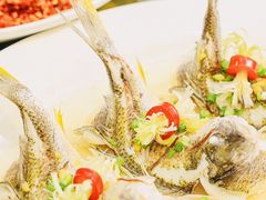 -有腥气私房菜·寻味顺德
