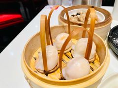 招牌虾饺皇-金鼎轩(亚运村店)