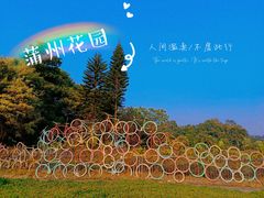-南沙蒲洲花园