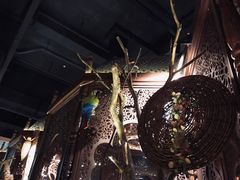 -楼兰新疆主题餐厅(苏州中心店)