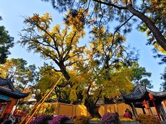 -无锡惠山寺