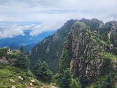 -芦芽山旅游度假区