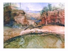 -福州罗源湾海洋世界旅游区