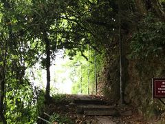 -桐君山春江扬帆码头