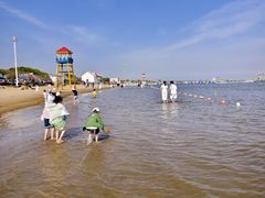 -碧海金沙