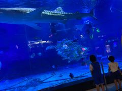 -烟台海昌鲸鲨海洋公园