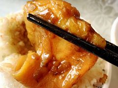 -丁老爷子苏香圆