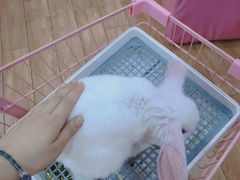 -阪尚皇·原切牛排·烤肉火锅自助(北京路店)