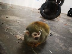 -西安秦岭野生动物园