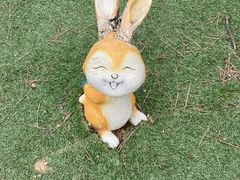 -金龙寺国家森林公园