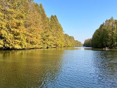 -上海海湾国家森林公园