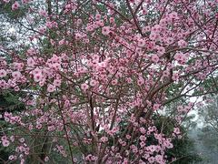 -成都蒲江花样年福朋喜来登度假酒店·宜客乐西餐厅