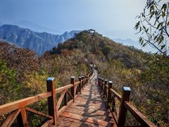 -大岭沟猕猴桃谷风景区