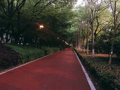 -南昌青山湖风景区