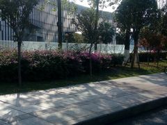 -四川省干细胞库