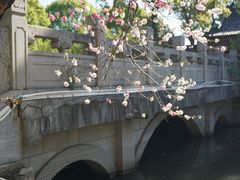 -南汇桃花村