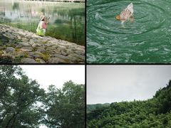 -鹿亭中村