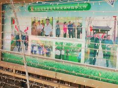 -草根堂农场