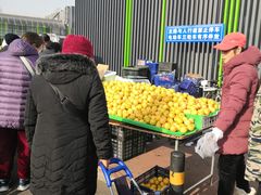 -三旗百汇商品城