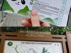 -中国大熊猫保护研究中心雅安碧峰峡基地