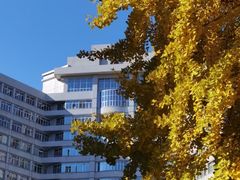 -北京理工大学(中关村校区)