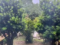 -万景茶庄·台州菜