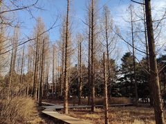 -国家植物园南园