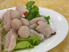 -金砂阿洲鱼册店