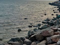 -深圳湾公园(南山区)