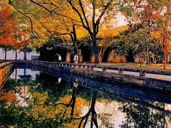 -西园戒幢律寺