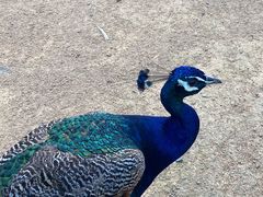 -杭州野生动物世界