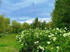 -绥化市森林植物园
