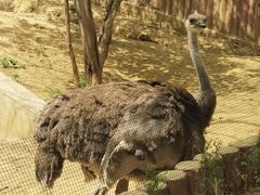 -石家庄市动物园