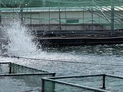 -霞客居酒店·霞客食府·宁海特色小海鲜
