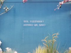 -奈雪的茶(大悦城店)