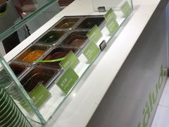 -Salud撒露欧洲冻酸奶(北苑上品店)