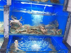水产区-桔子海鲜烧烤大排档(金沙滩店)