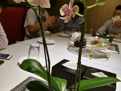 -海底捞火锅(长沙华创国际广场店)