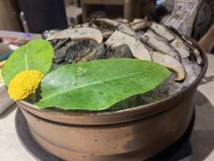 -芸山季·云南野生菌火锅(宝能环球汇店)