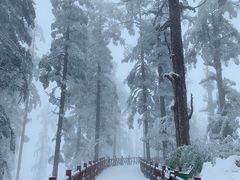 -瓦屋山景区
