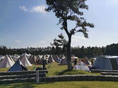 -上海长兴岛郊野公园