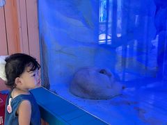-海合安成都极地海洋公园