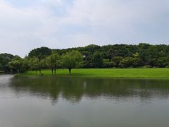 -上海方塔园