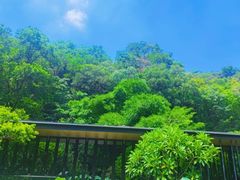 -云溪植物园
