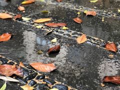 -光明日报社上海记者站