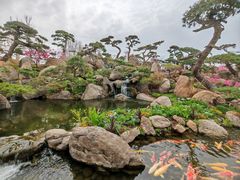 -罗红摄影艺术馆